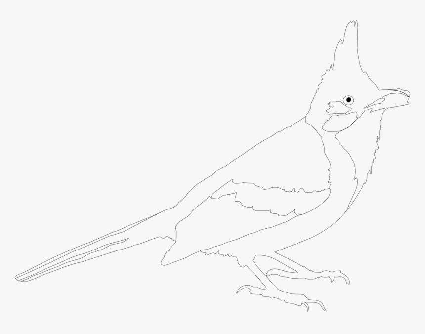 Black And White, Line Art, Art Bard, Drawn, Artist - Sketch, HD Png Download