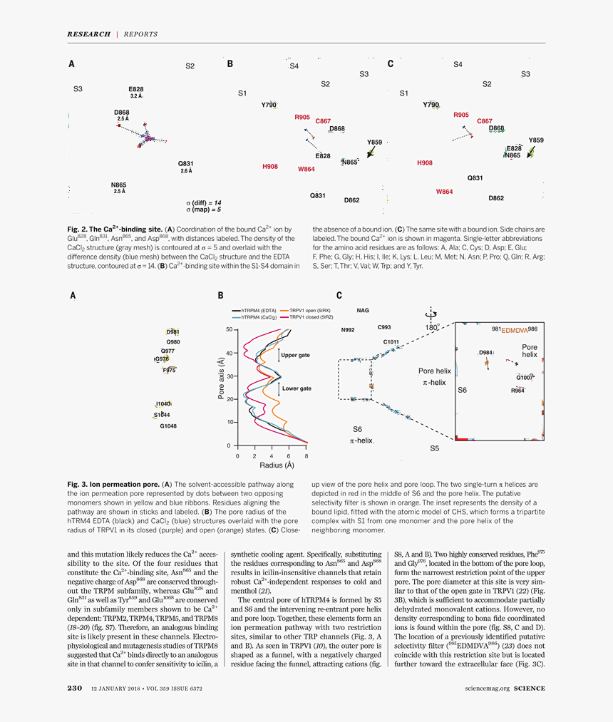 Document, HD Png Download