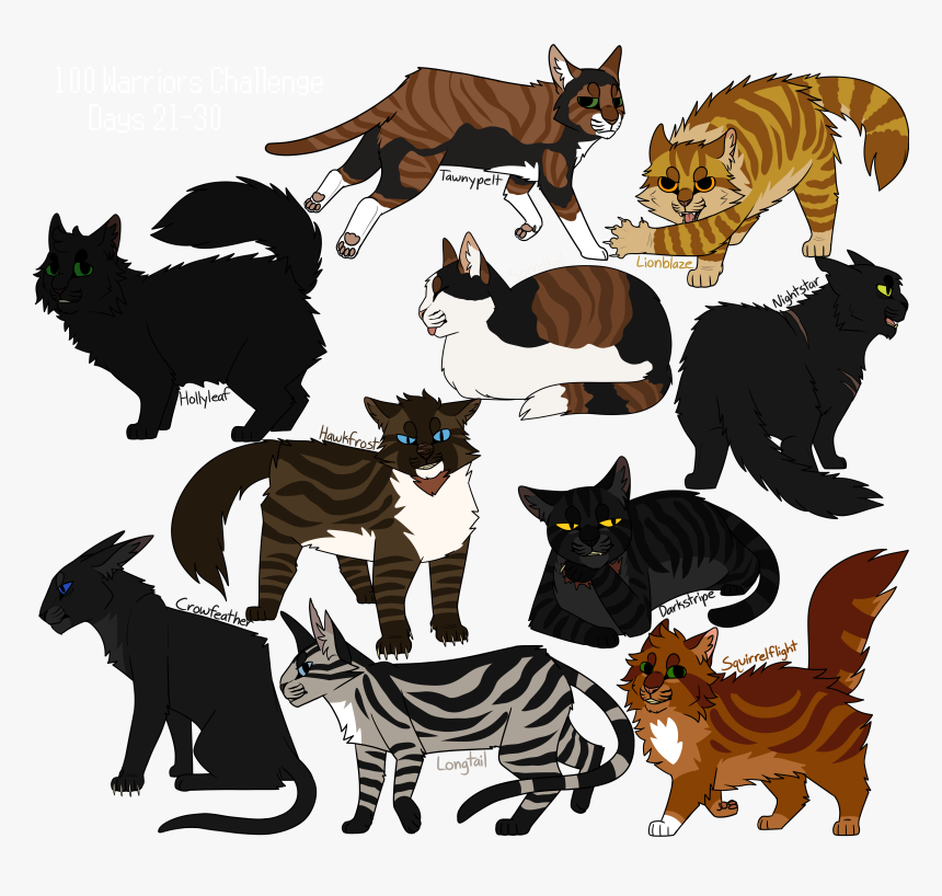 30 Day Warriors Challenge, HD Png Download