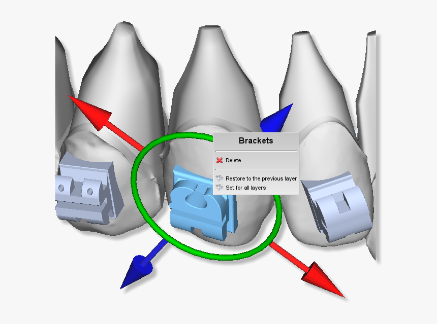 Maestro 3d Ortho Studio, HD Png Download