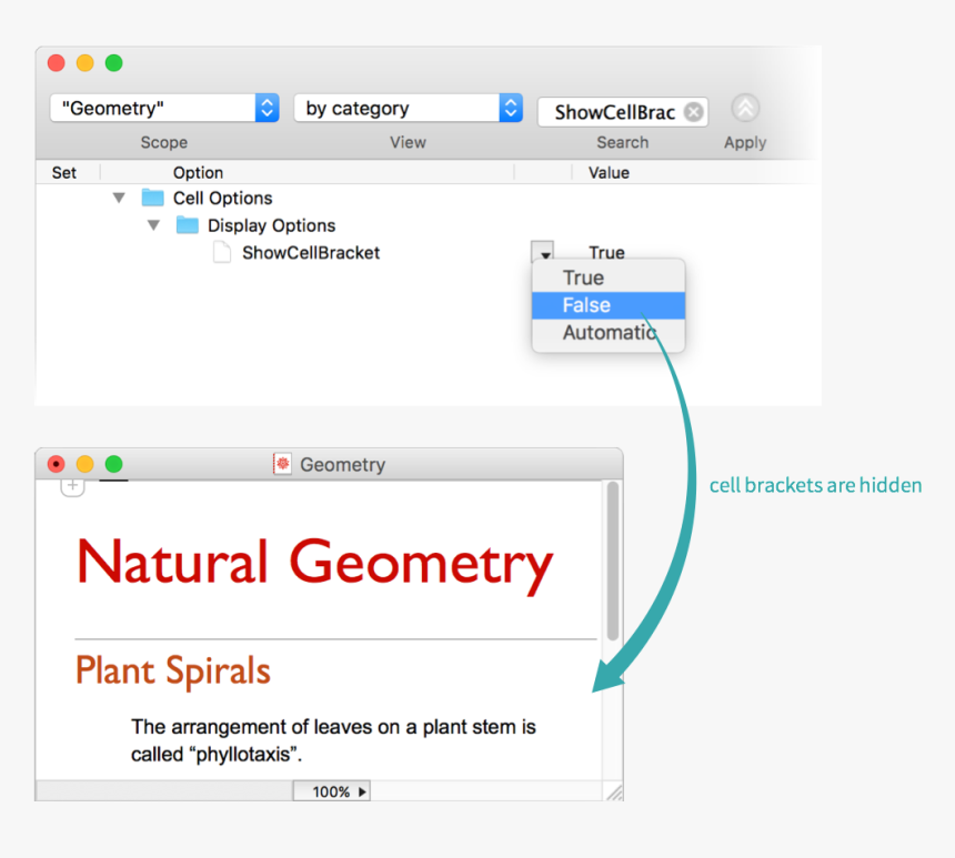 Natura Bio Science, HD Png Download