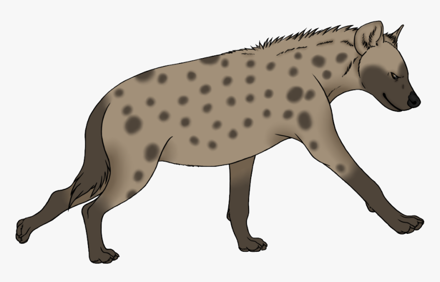 Download Hyena Png Transparent Images Transparent Backgrounds - Hyena Clipart Png, Png Download