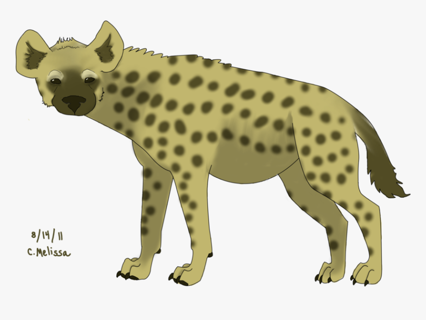 Hyena Png - Hyena, Transparent Png