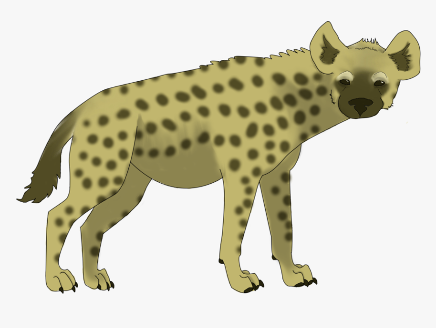 Hyena Png Clipart - Spotted Hyena, Transparent Png