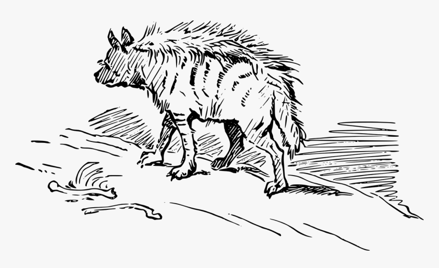 Brown Hyenas Clipart Black And White, HD Png Download