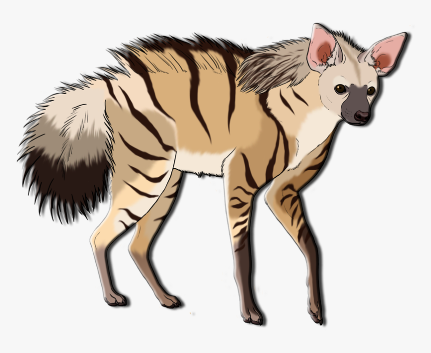Aardwolf Png, Transparent Png