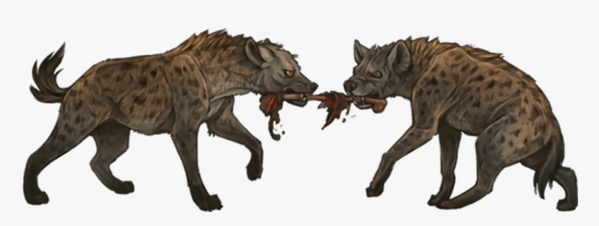 Spotted Hyena, HD Png Download