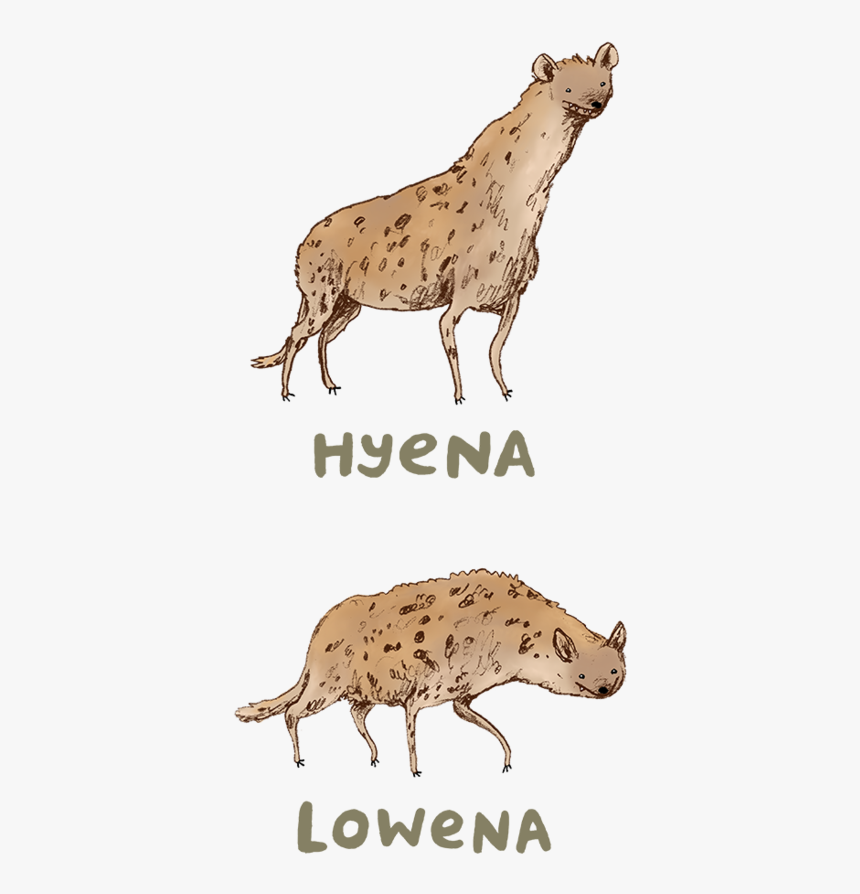 Hyena Lowena, HD Png Download