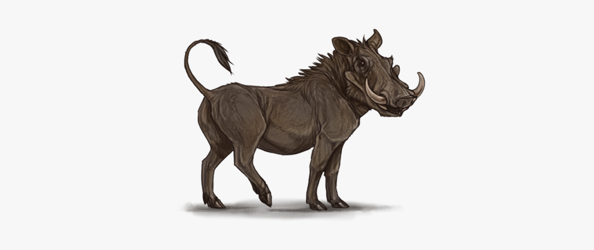 Common Warthog Lion Pig Hyena Mane - Warthog Png, Transparent Png