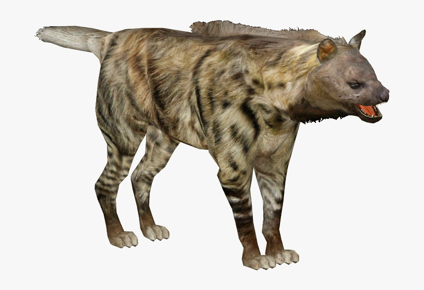 Cat Jumps, HD Png Download