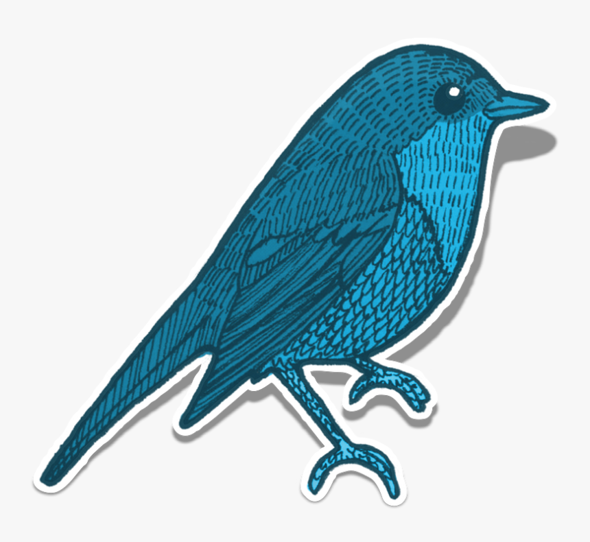 Blue Jay Clipart 18, Buy Clip Art - Elementos De La Naturaleza Animales, HD Png Download