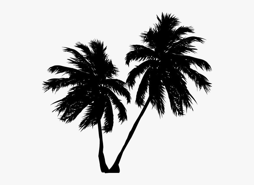 Thumb Image - Too Slow To Disco 3, HD Png Download