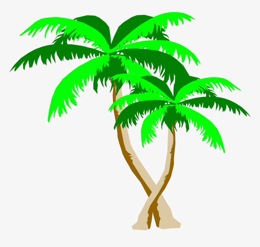 Transparent Palmera Png - Logo De Palmeras Png, Png Download