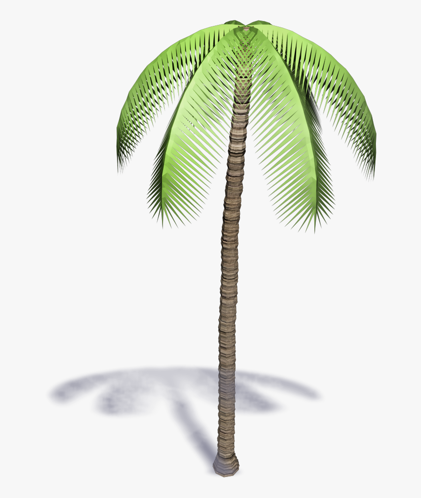 Palmera 3d Png, Transparent Png