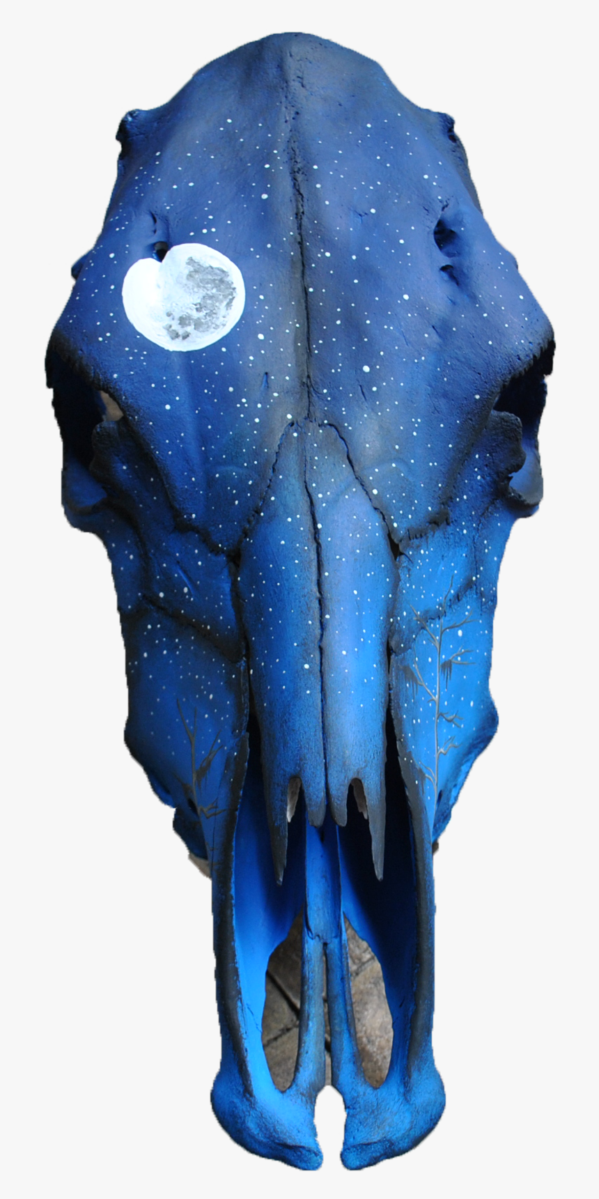 Skull, HD Png Download