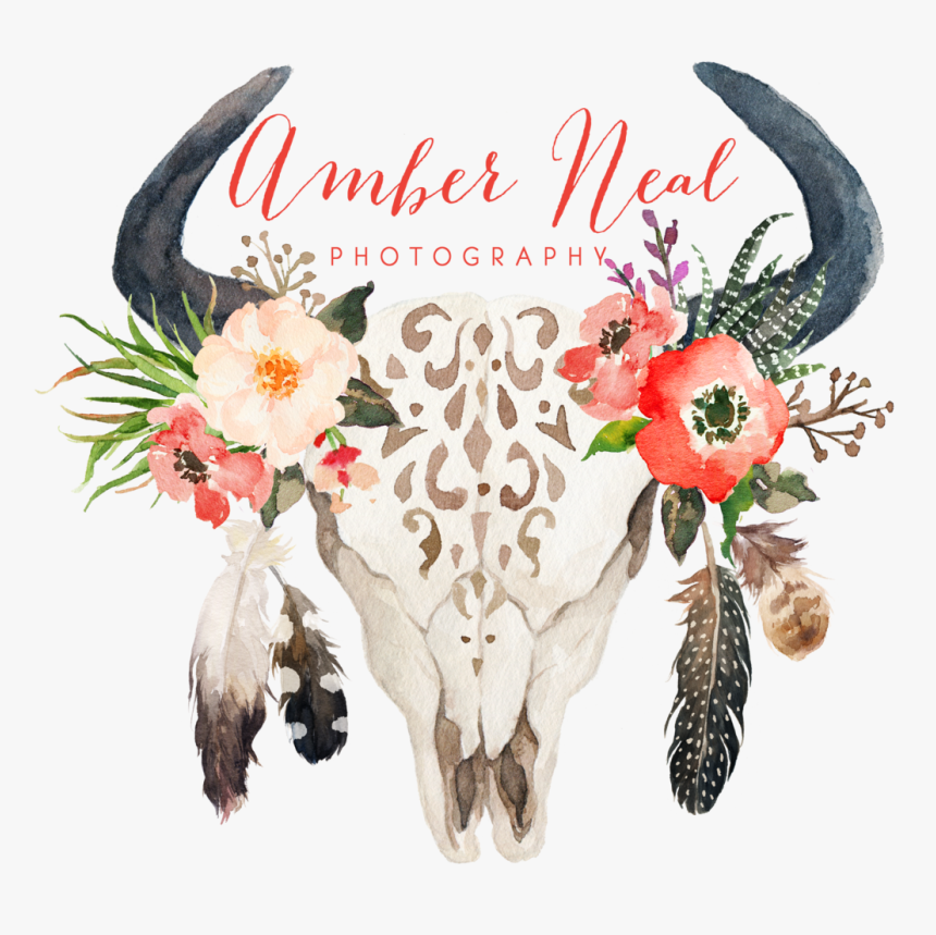 Cow Skull With Flowers And Feathers , Png Download - Bull Skull With Feathers And Flowers, Transparent Png