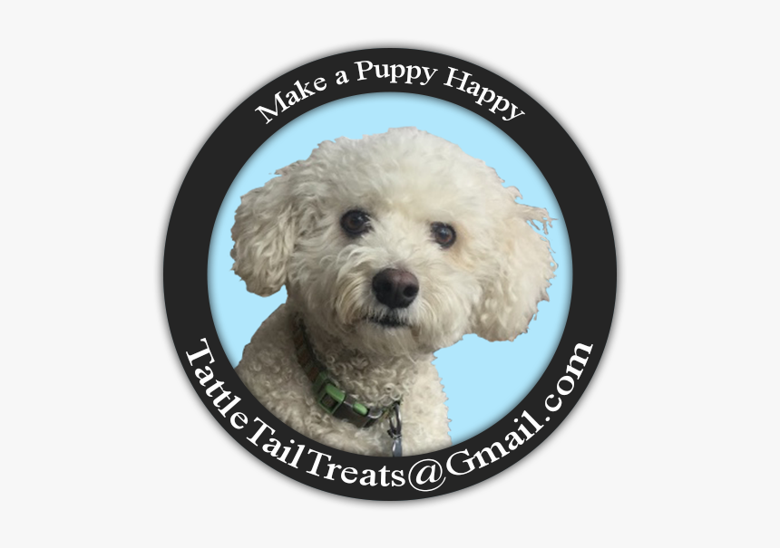 Tattle Tails - Toy Poodle, HD Png Download