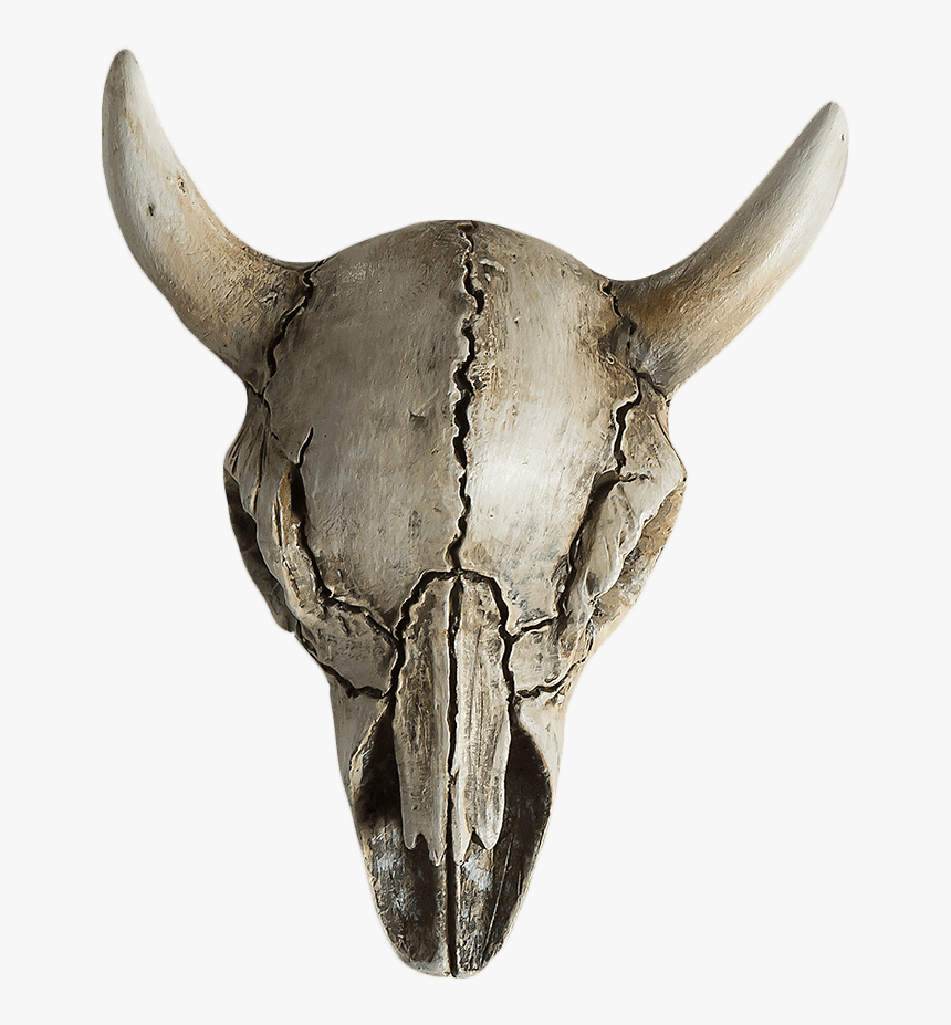Cow Skull Horror Ornament - Horror Head Png, Transparent Png