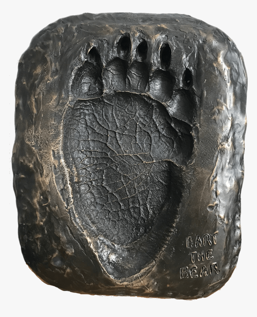 Life-size Cast Of Bart The Bear S Rear Paw - Handbag, HD Png Download