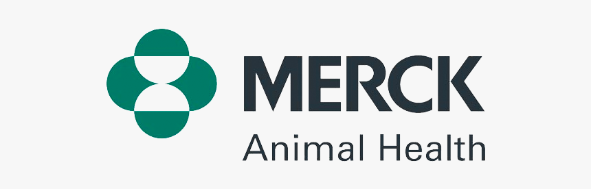 Merck & Co, HD Png Download