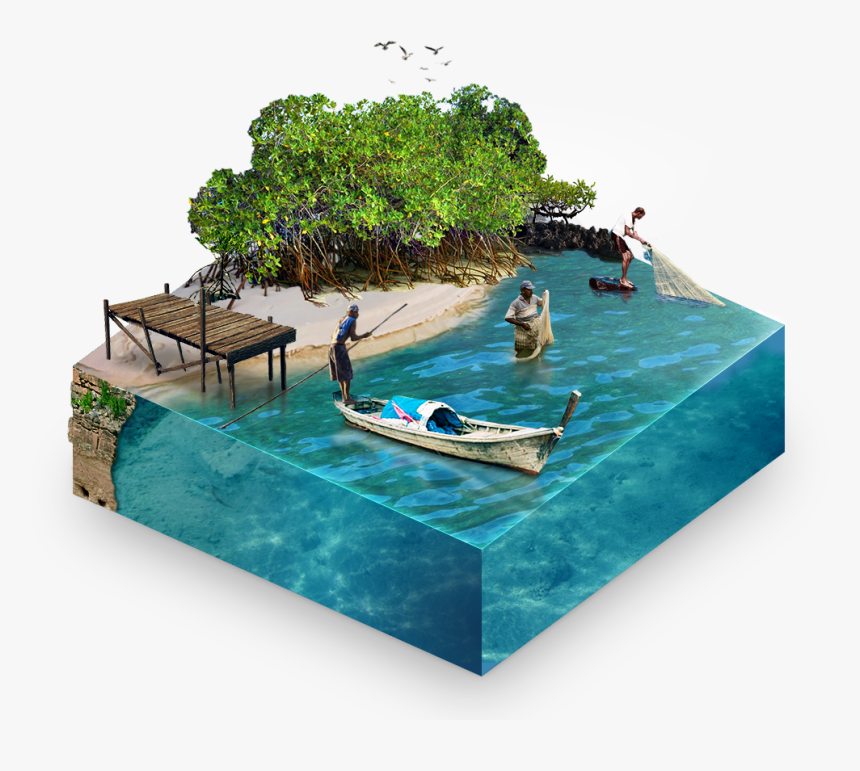 People Swimming Mangroves, HD Png Download
