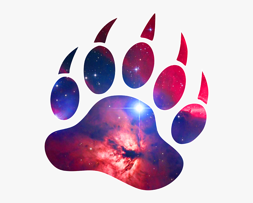 Grizzly Paw Clip Art, HD Png Download