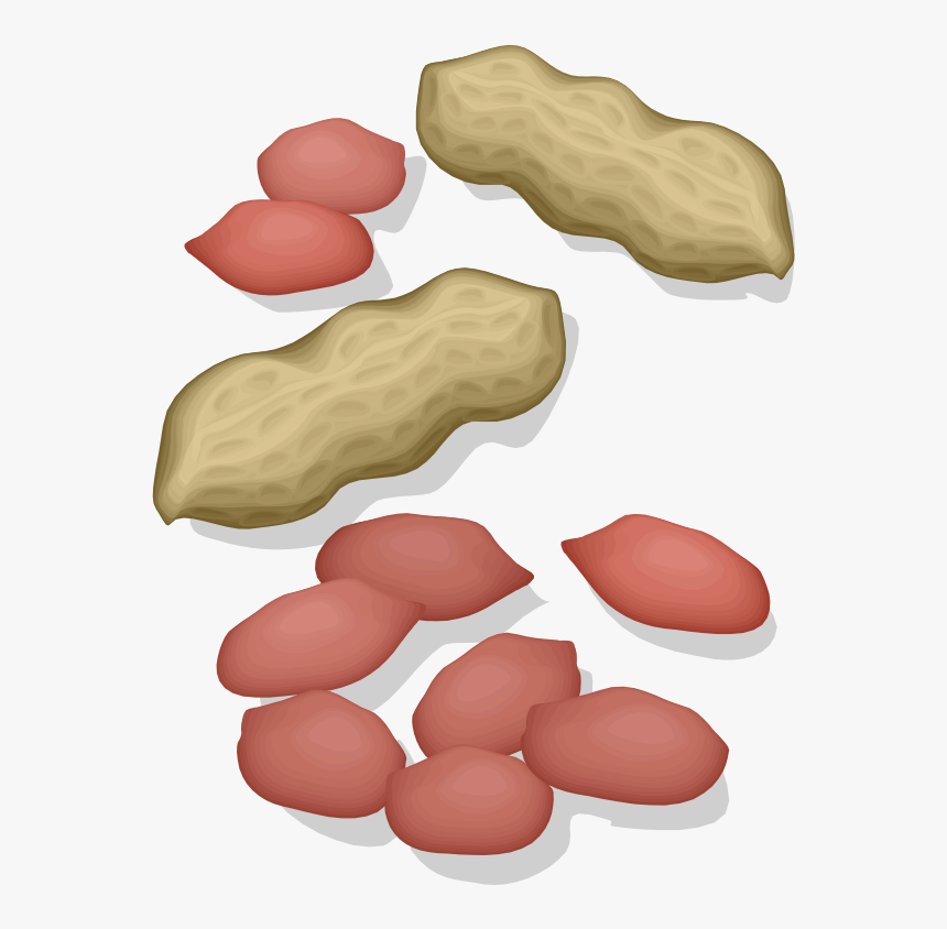 Peanuts - Kacang Tanah Cartoon Png, Transparent Png