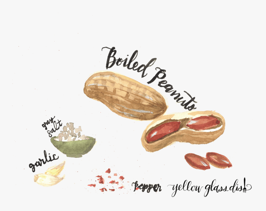 Peanut, HD Png Download