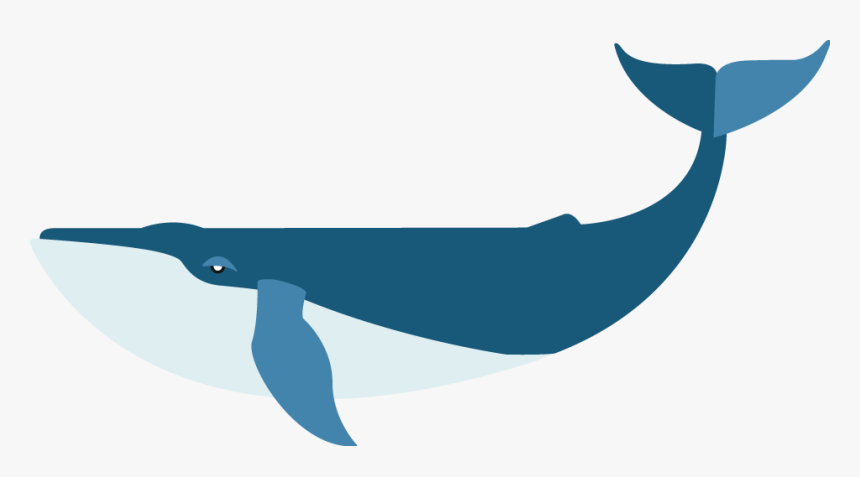 Flat Blue Whale - Blue Whale Png Art, Transparent Png