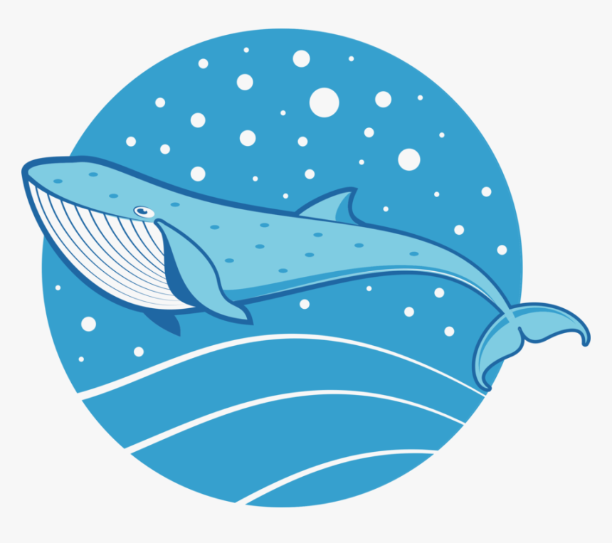 Blue,marine Biology,whales Dolphins And Porpoises, HD Png Download