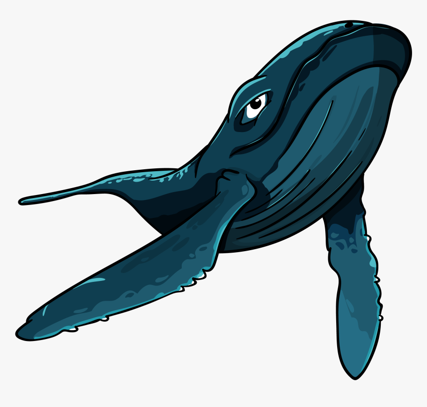 Big Blue Whale - Кит Пнг Гиф, HD Png Download