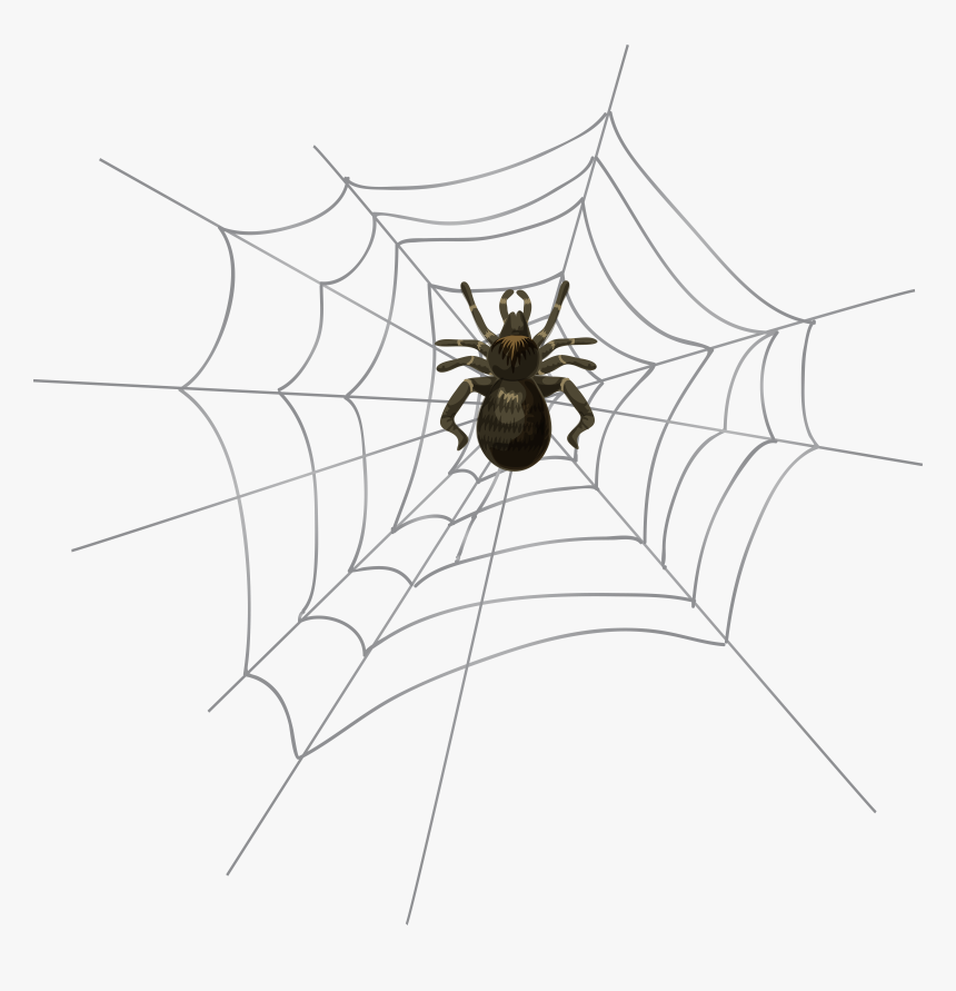 Spider Clipart Spider Webb, HD Png Download