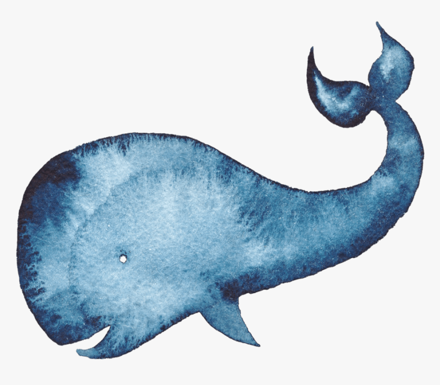 Humpback Whale Watercolor Painting Blue Whale - Watercolor Illustration Of A Whale, HD Png Download