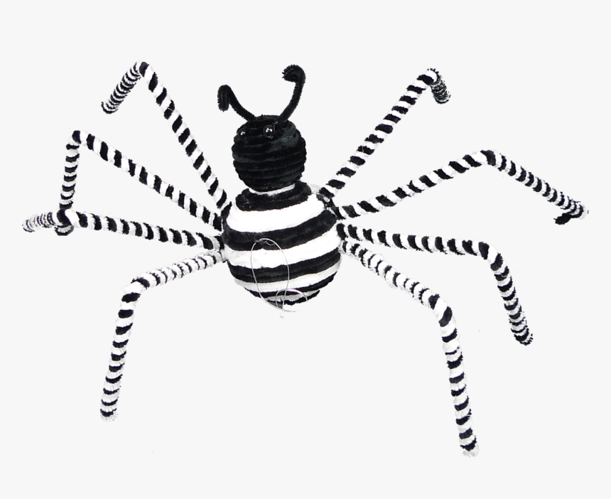 17 - Spiders Black And White, HD Png Download
