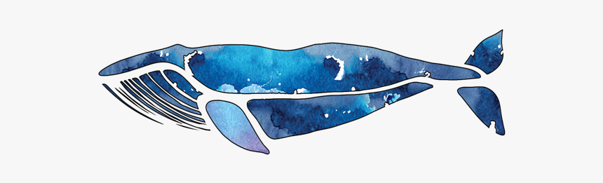 Blue Whale Quilts - Buckelwal Logo, HD Png Download