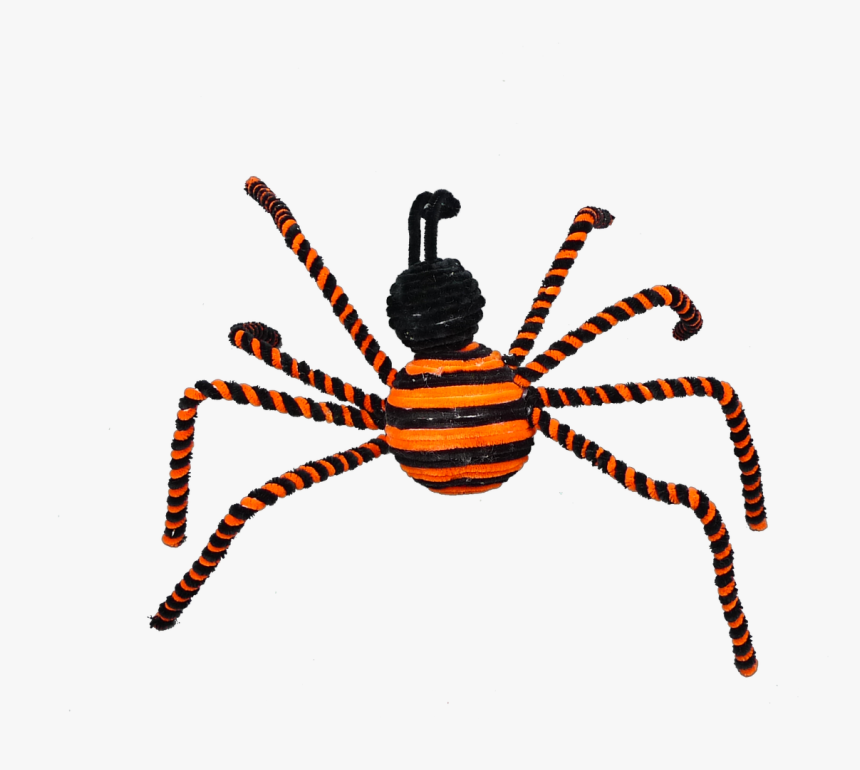 17 - Araneus Cavaticus, HD Png Download