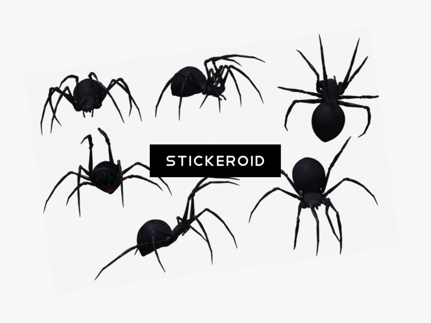 Free Hugs T-shirt Amazing Halloween (1101x775), Png - Spider From Side Drawing, Transparent Png