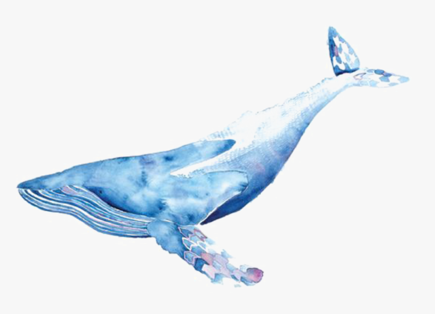 Collection Of Free Whale - Whale Png Watercolor, Transparent Png