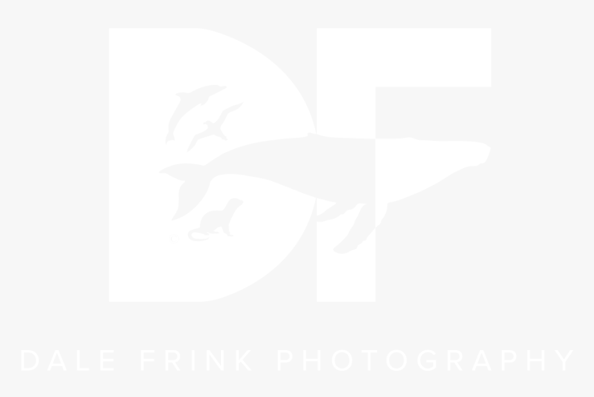 Dale Frink Photography - Illustration, HD Png Download