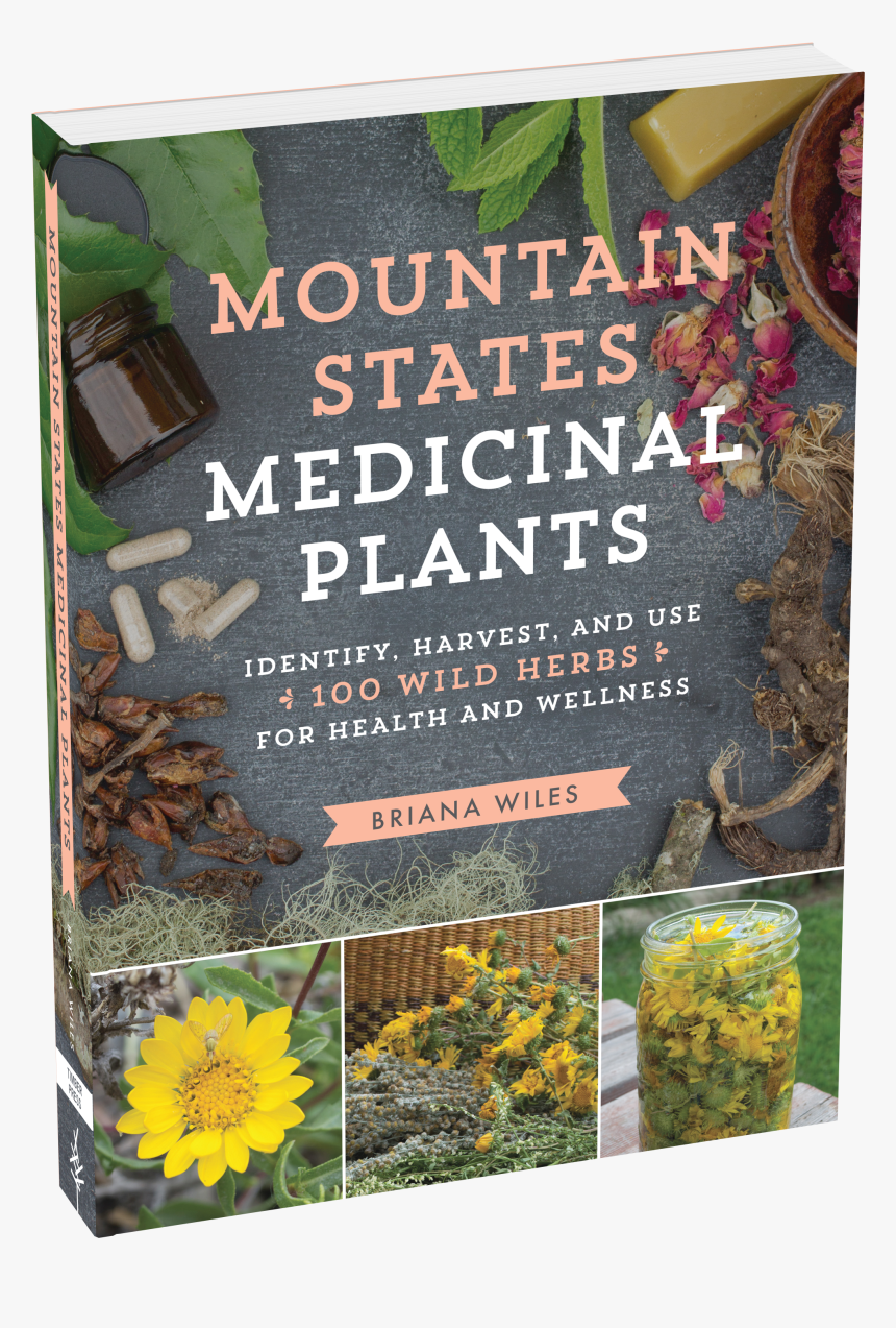 Cover - Medicinal Plant, HD Png Download