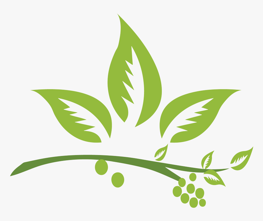 Herb Png, Transparent Png