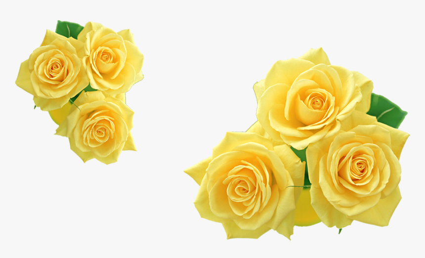 Rose Yellow Flower Clip Art - Yellow Roses Clipart, HD Png Download