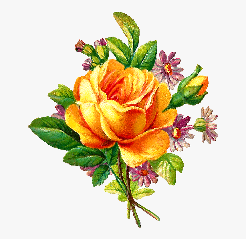 Vine Rose Clip Art Free Best Vine Rose Clip Art On - Free Vintage Flower Png, Transparent Png