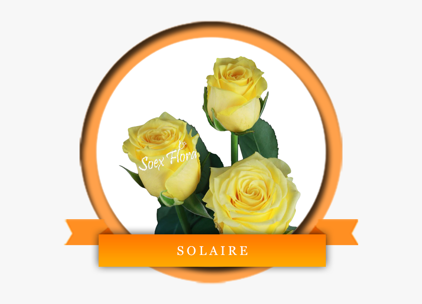 Energy Saved Is Future Saved, HD Png Download