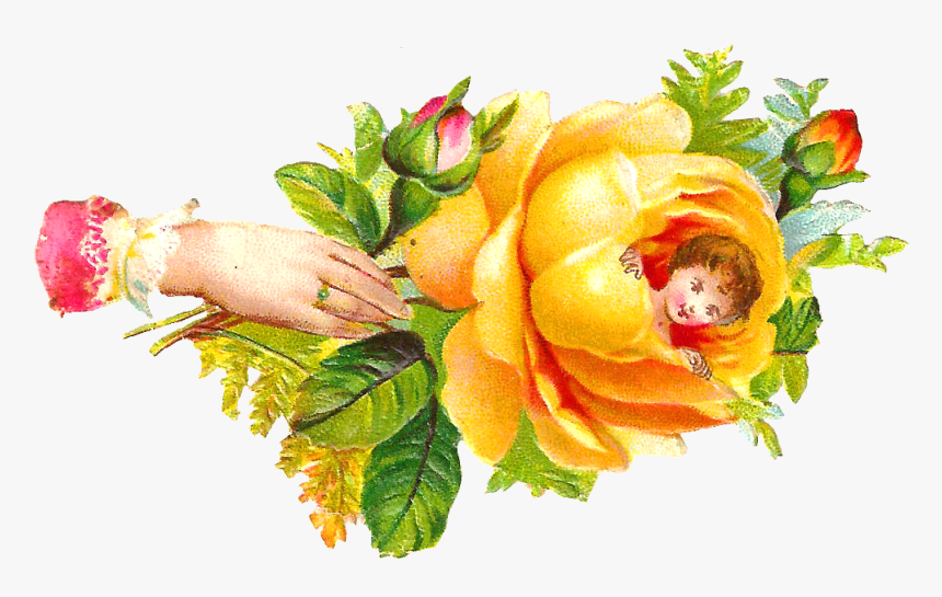 Yellow Rose Clipart Free - Yellow Rose In Love, HD Png Download
