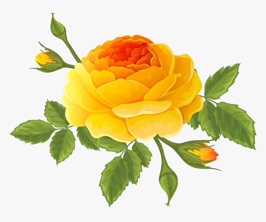 Orange With Buds Png, Transparent Png