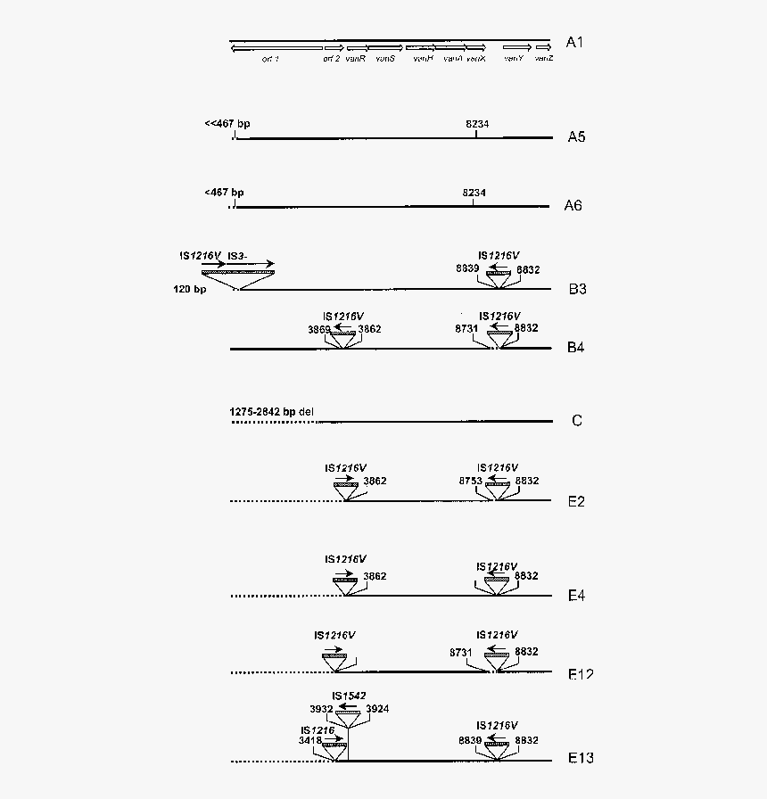 Document, HD Png Download