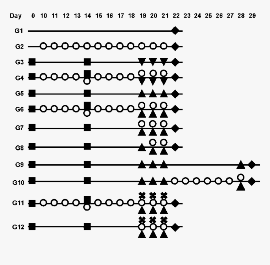 Number, HD Png Download