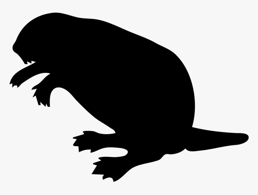 Beaver Png Image - Beaver Clip Art, Transparent Png