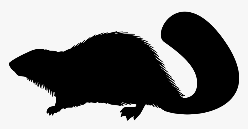 Beaver Svg, HD Png Download